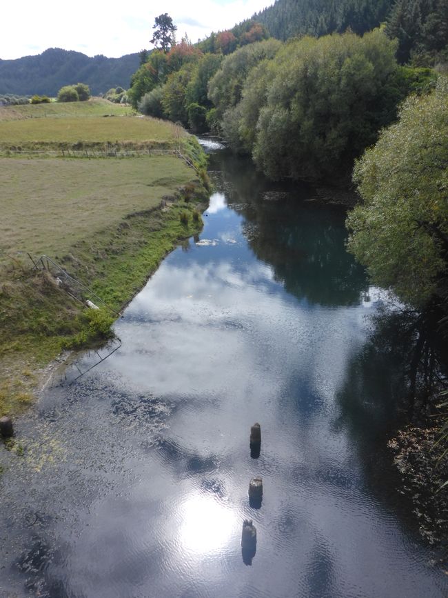 Tuamarina River