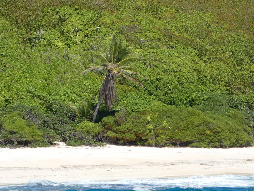 Henderson, Îles Pitcairn