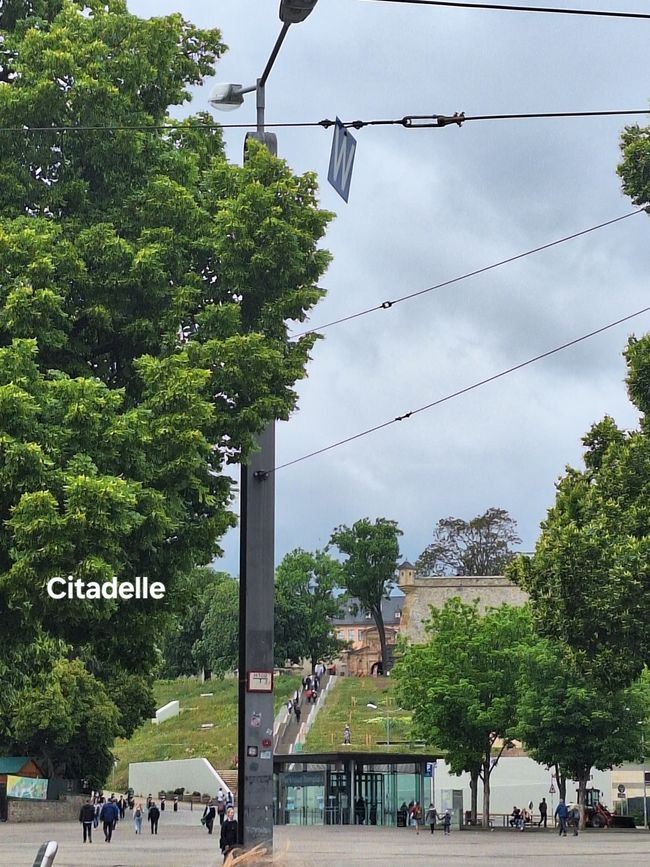Citadelle d'Erfurt 