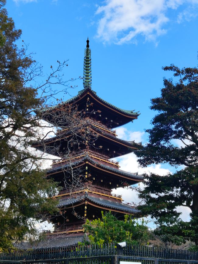 Des gens, des gens et encore plus de gens – La vie quotidienne à Tokyo