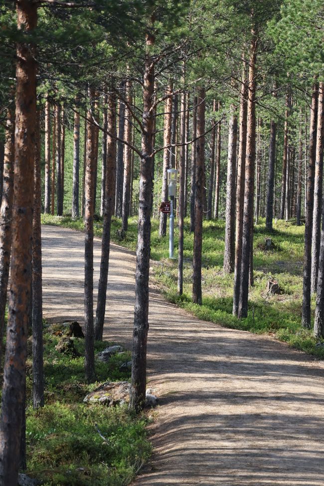 Kleine Wanderung in Inari