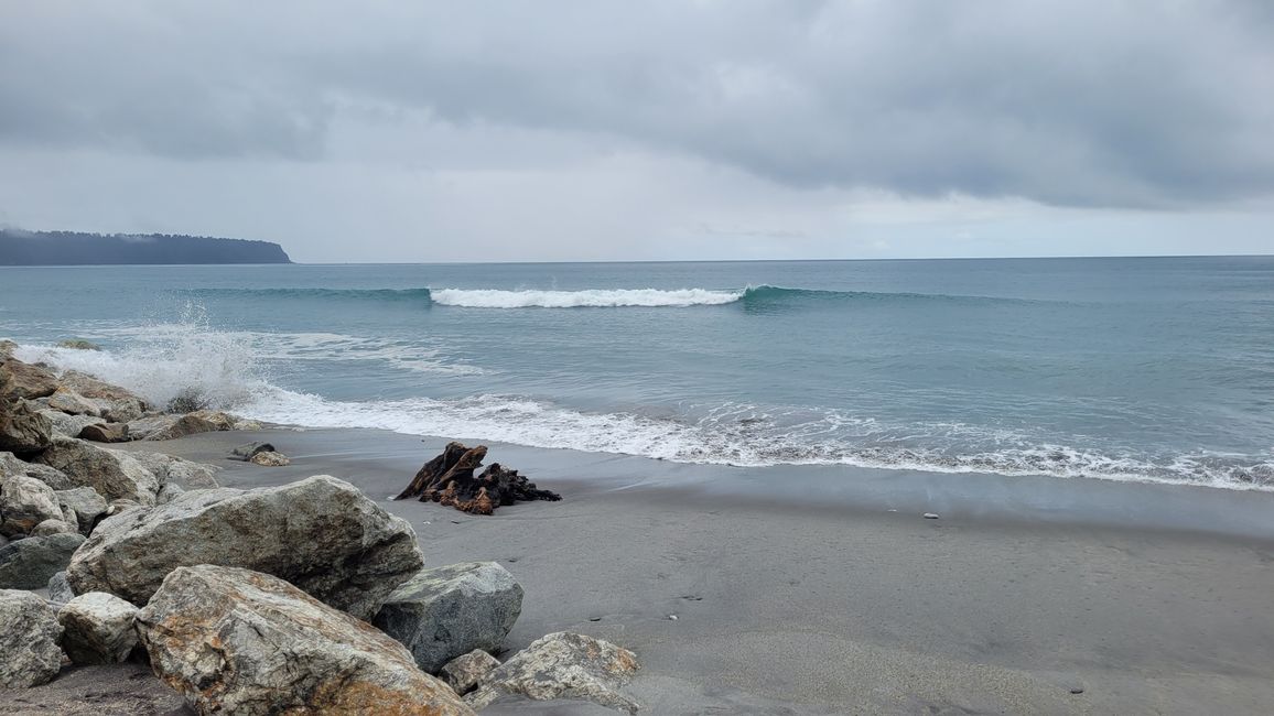 29.Januar-27.Februar 2025 Neuseeland
13.Februar