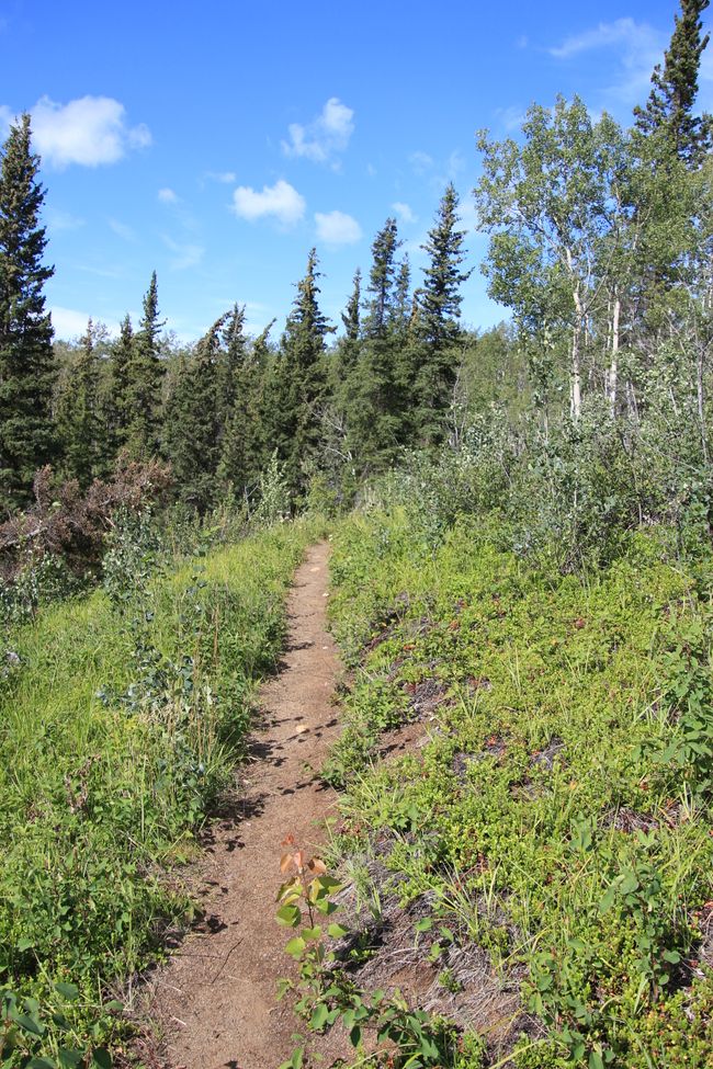 Lakeshore Trail