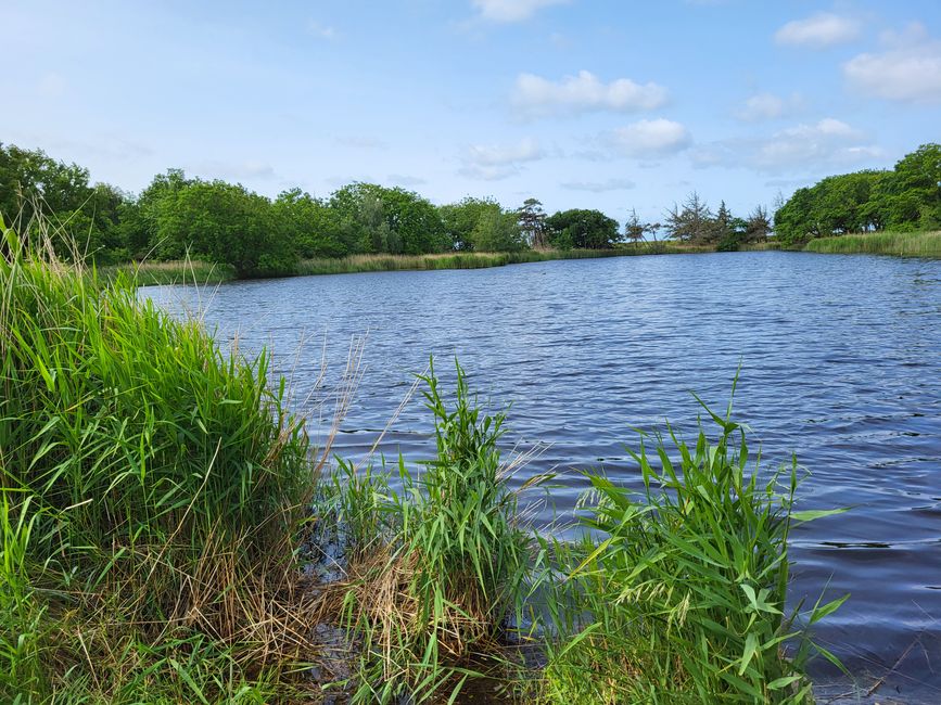 Naturschutzgebiet Wallnau