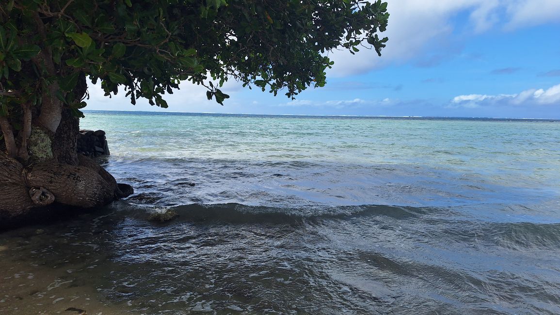 Willkommen im Paradies // welcome to paradise