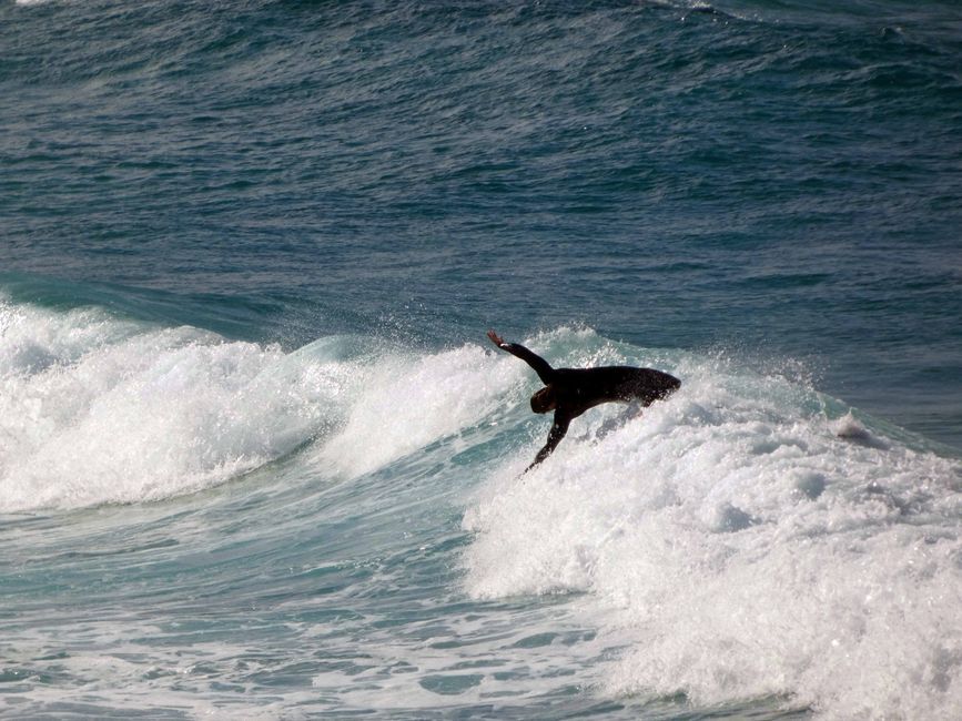 Surfer in Bondi