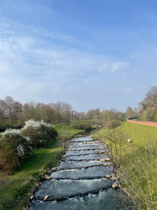 Bonn to Düsseldorf