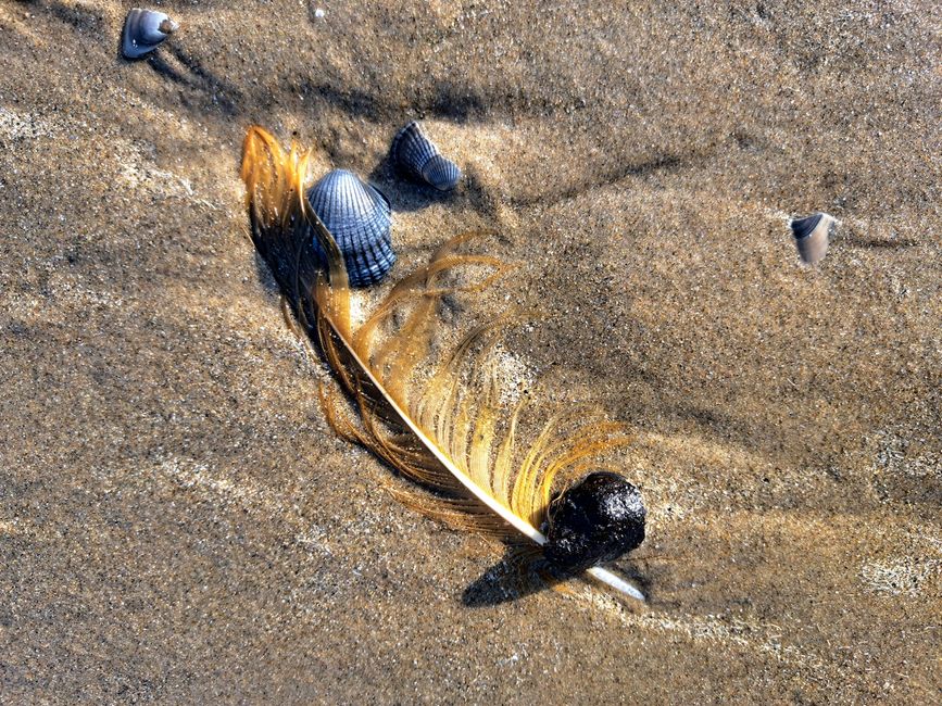 Strand-Gut-Kunst