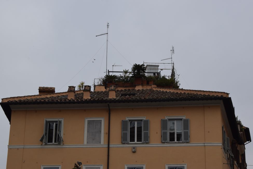 Viaggio in città a Roma