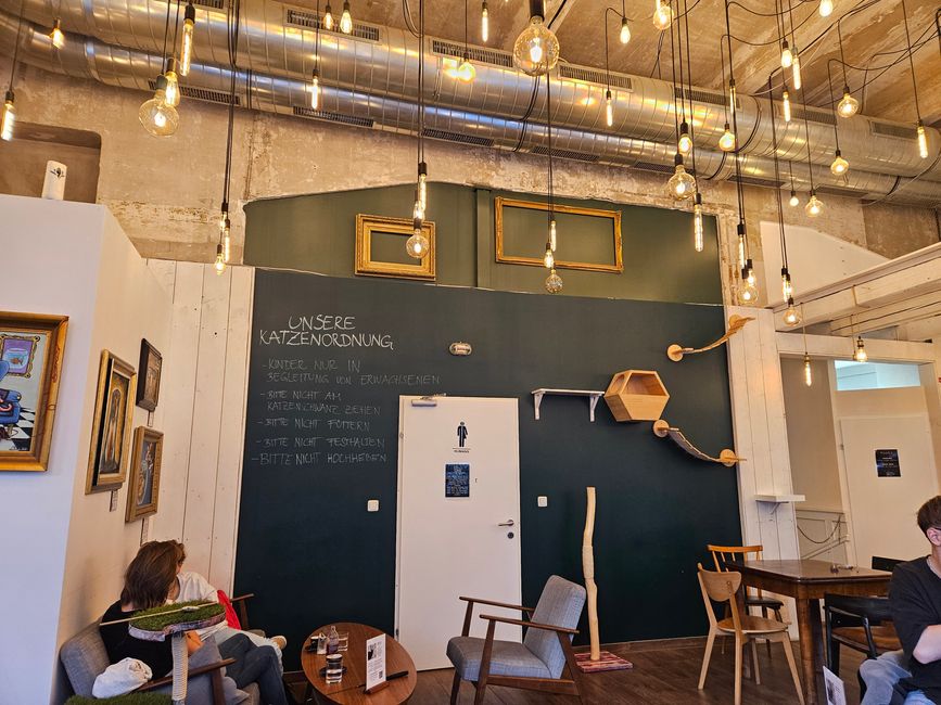2024 - Vienna - Cat Café 'Barista Cats'