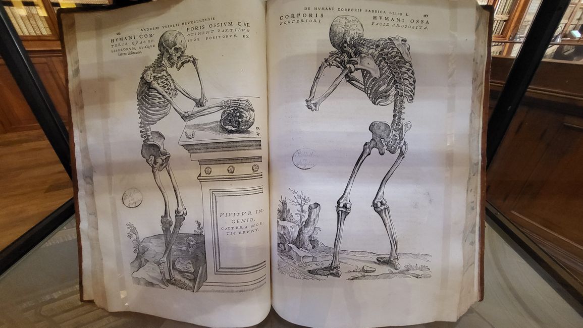 Andrea Vesalio „De humani corporis fabrica libri septem“