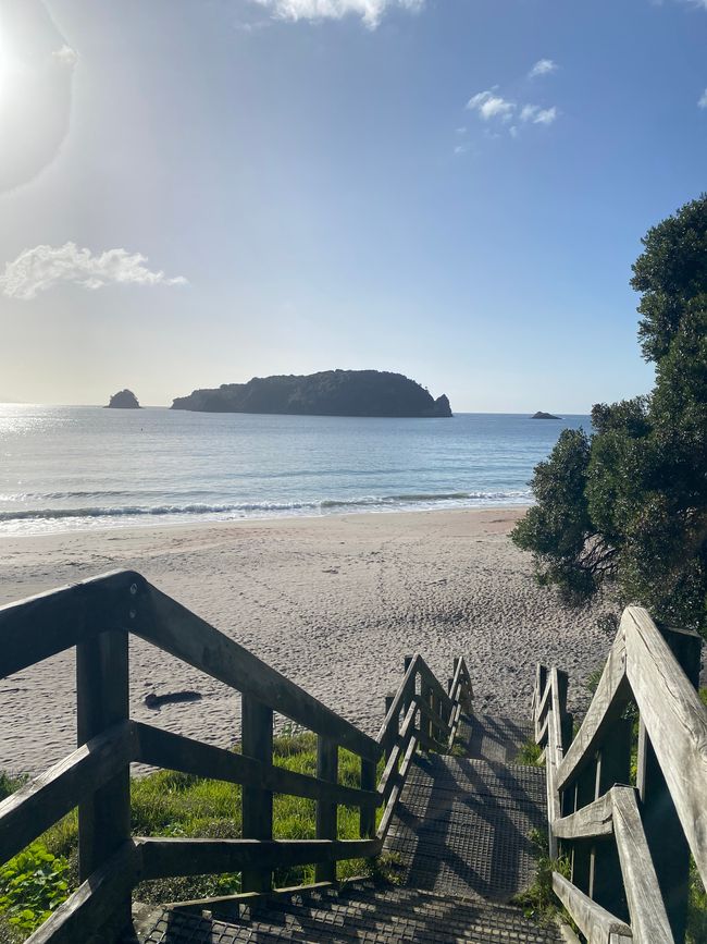Coromandel loop