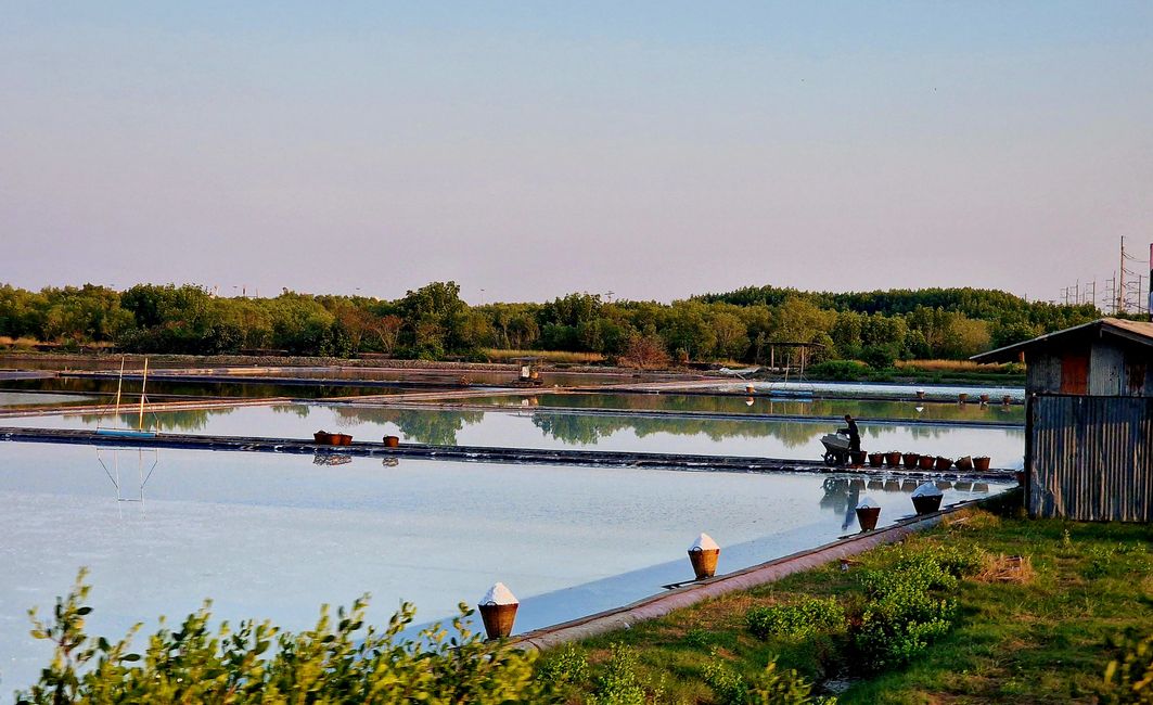 Tuut, tuut, klappt die Läden ein, der Zug kommt 🚂 ...