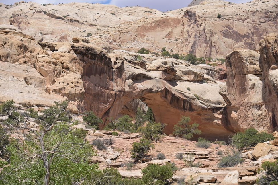 Capitol Reef NP - Hickman Bridge