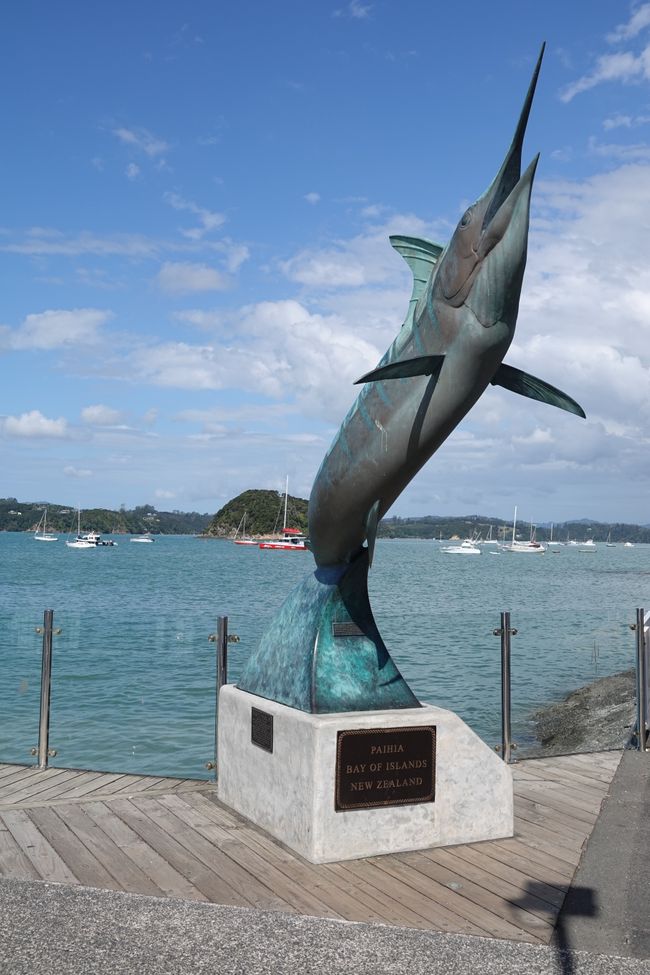 From Whangārei Heads to the Bay of Islands....