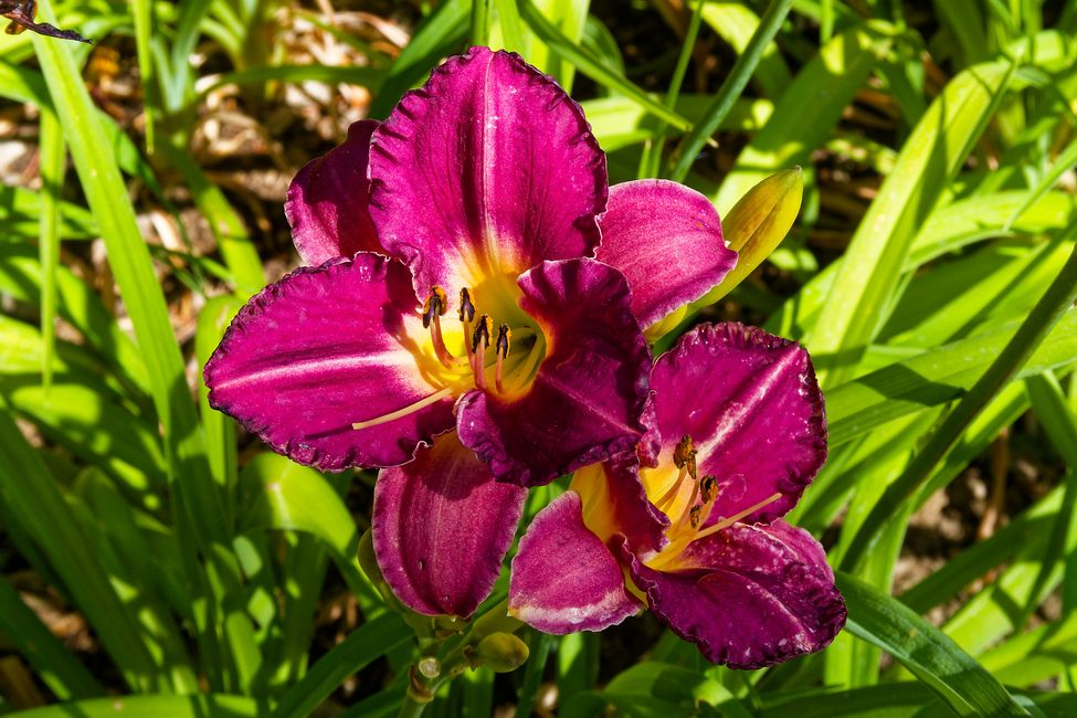 Parc Floral de La Source