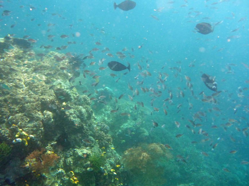 Waiag, Raja Ampat, Indonesia