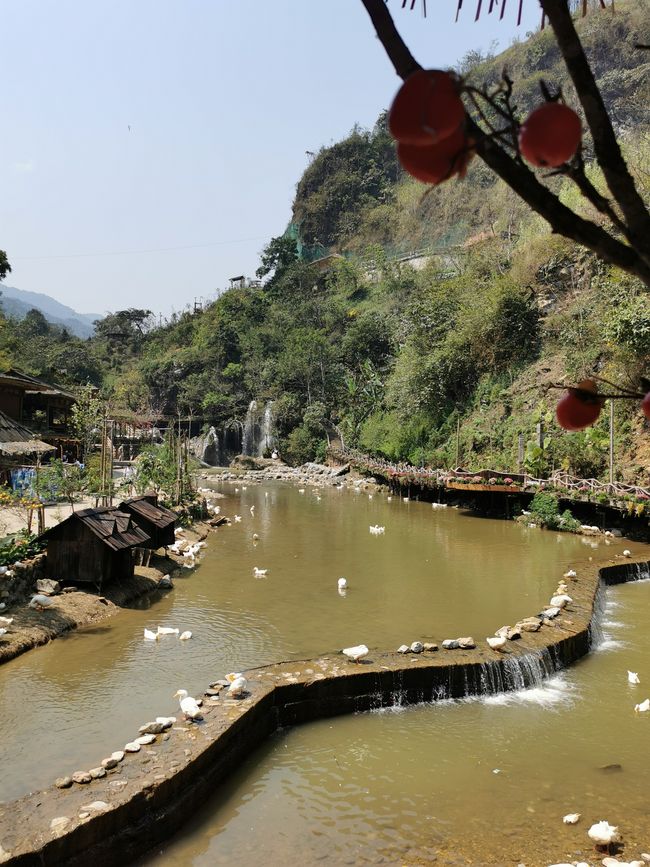 Wanderung in SaPa zum Cát-Cát-Village und den Wasserfällen