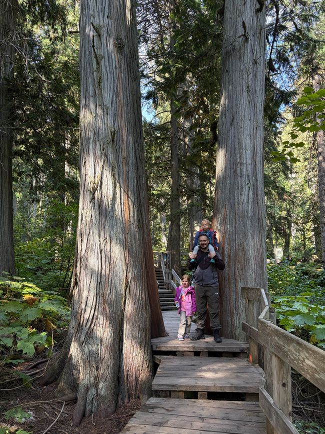 Kanada 8/21 - Revelstoke nach Banff