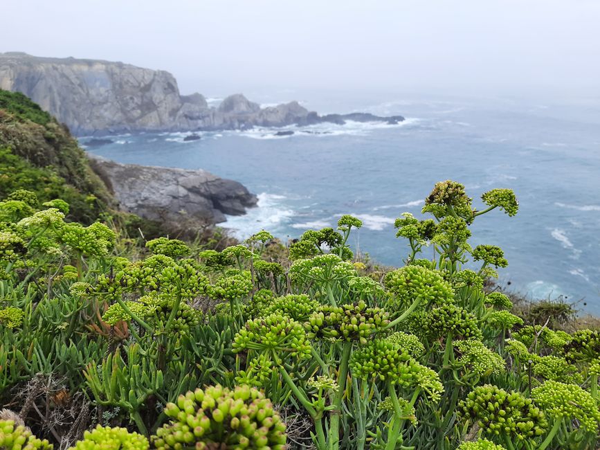 5. Etapa: con ampollas por la niebla