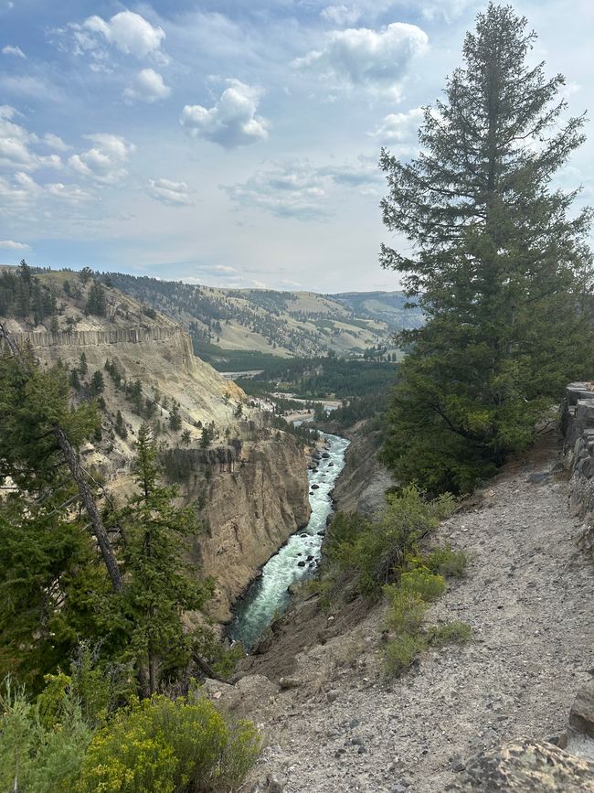 Wyoming: Yellowstone Parte 1