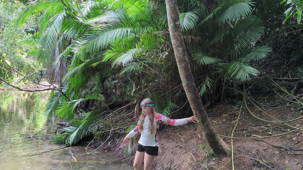 2 Nächte in Cape Tribulation