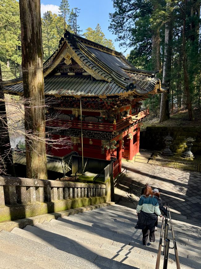 Parte 7
BENVENUTO IN GIAPPONE 🇯🇵
TOKYO