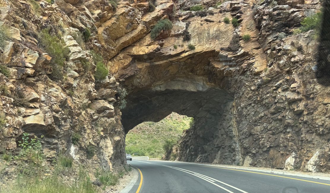Weihnachtstage in Stellenbosch