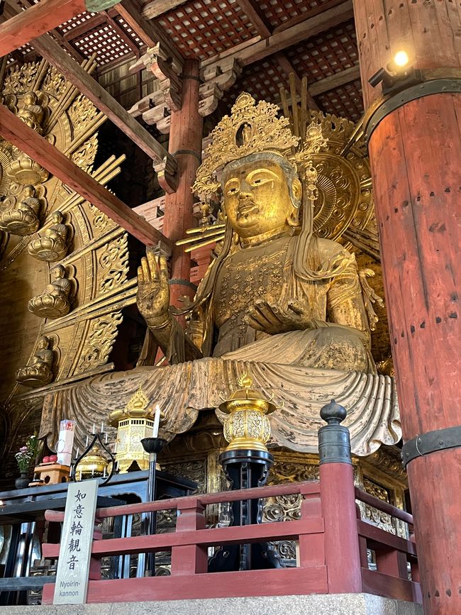 15. Capitolo: Visita al grande Buddha e sabato pomeriggio nel parco con proposta dal vivo