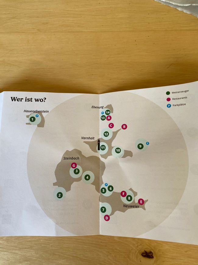 The plan for the open wine cellars