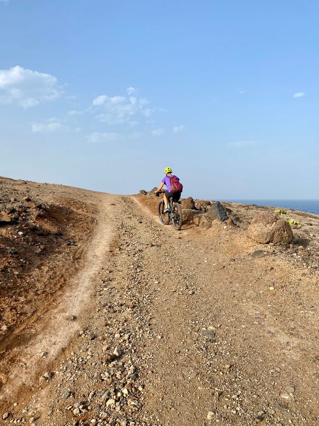 Fahrradtour an der Northshore - es gab sogar einige Trails