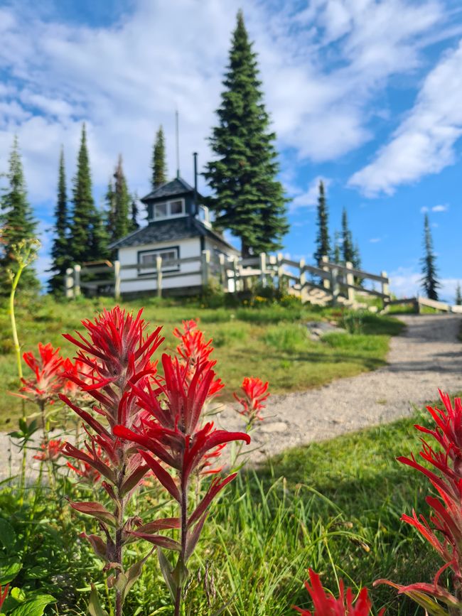 historische Feuerhütte auf dem Gipfel des Mount Revelstoke