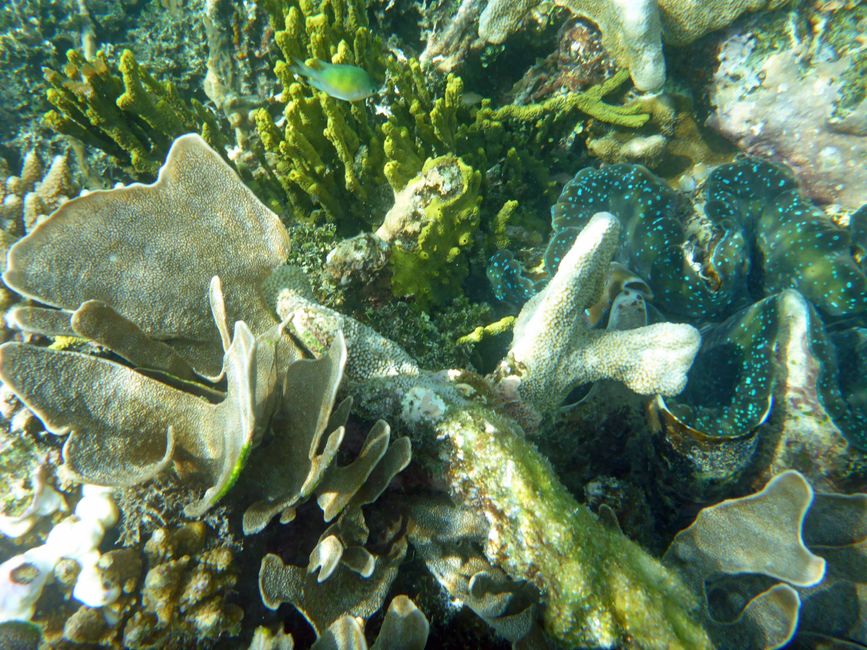 Waiag, Raja Ampat, Indonesia