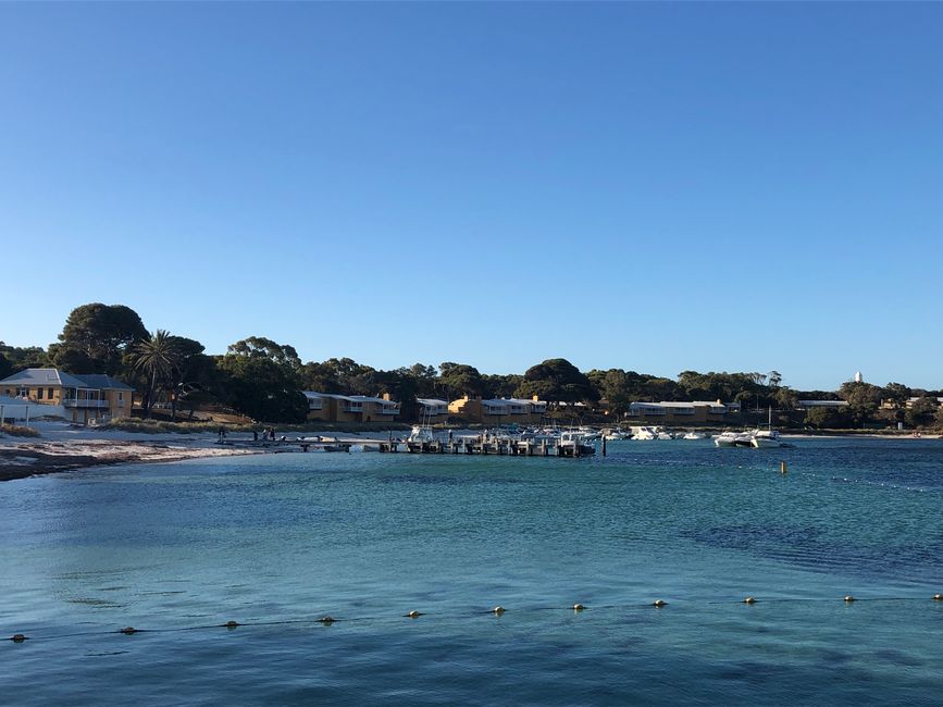 Thomson Bay