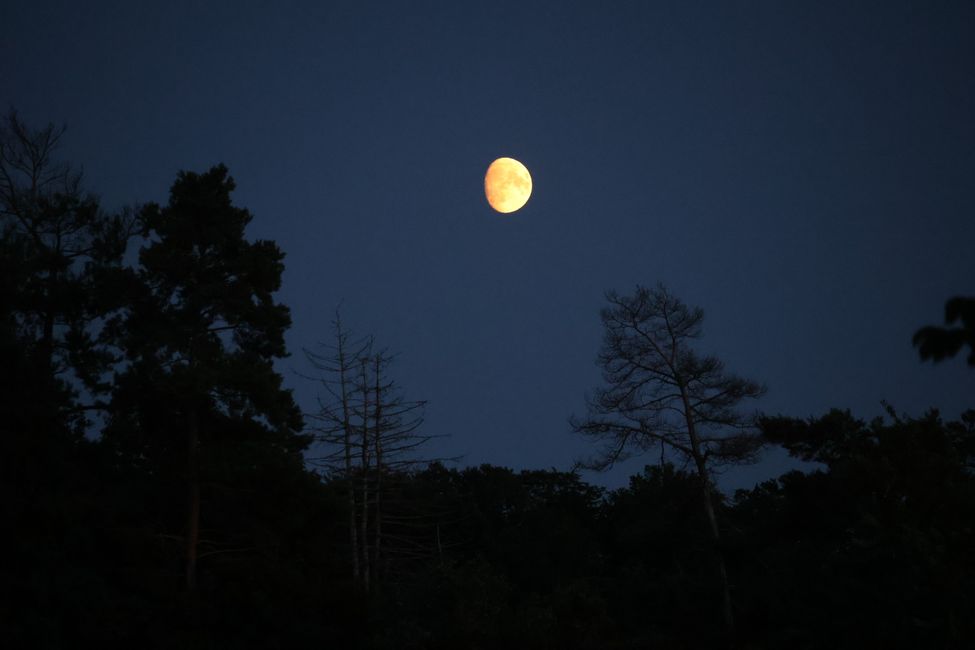 Discover Germany anew