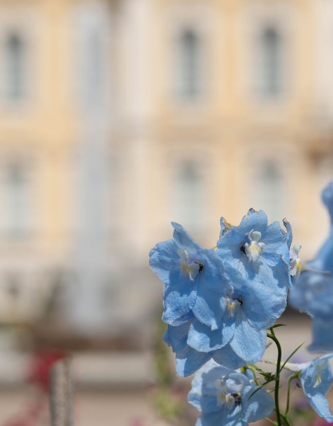 Schloss Rundāle