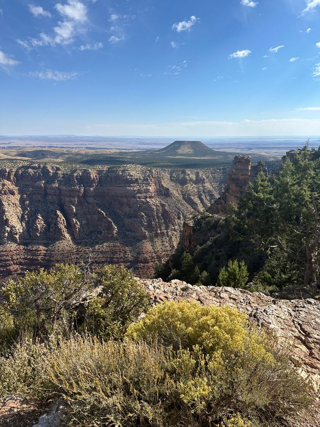 Lago Powell/ Horse Shoe/ Gran Cañón