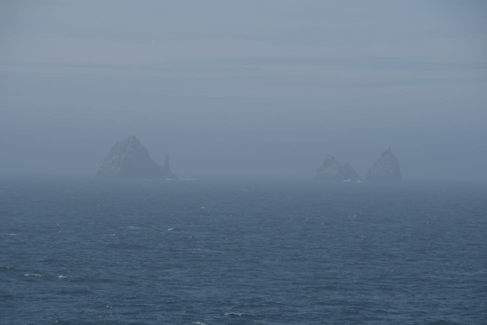 Shag Rocks