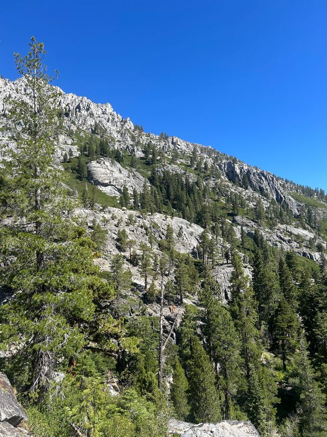 Tag 6 - Letzter Tag am Lake Tahoe