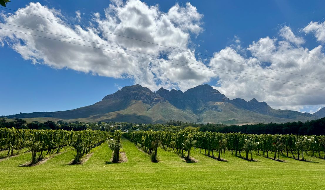 South Africa🇿🇦Week 6