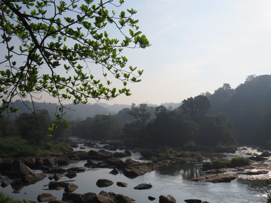 Nuwara Eliya - Dans les Highlands