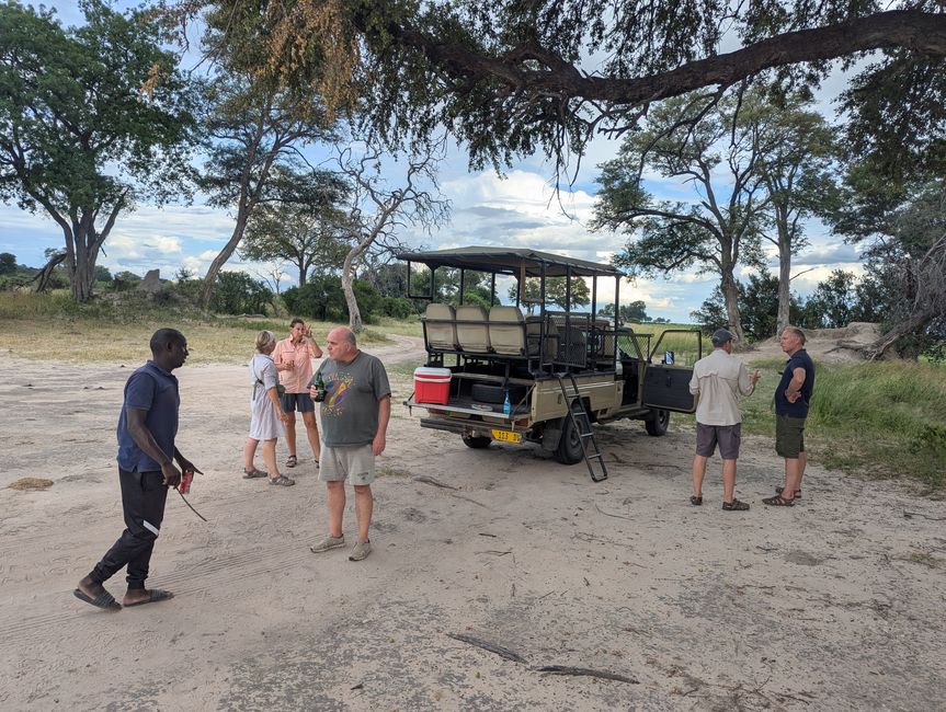 Safari dans le Buffalo Park