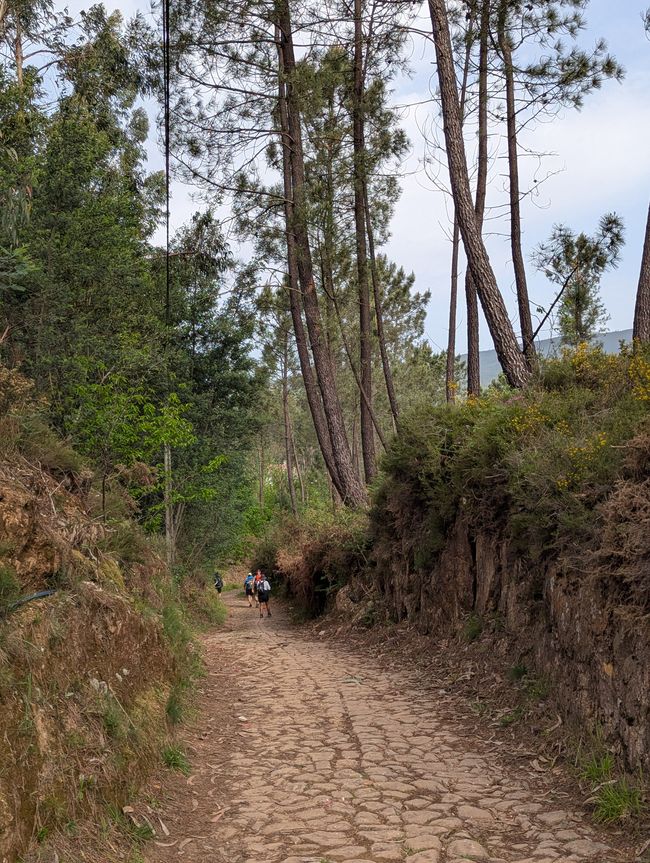 Bilanz auf der Passstraße (Camino Portugues 5)