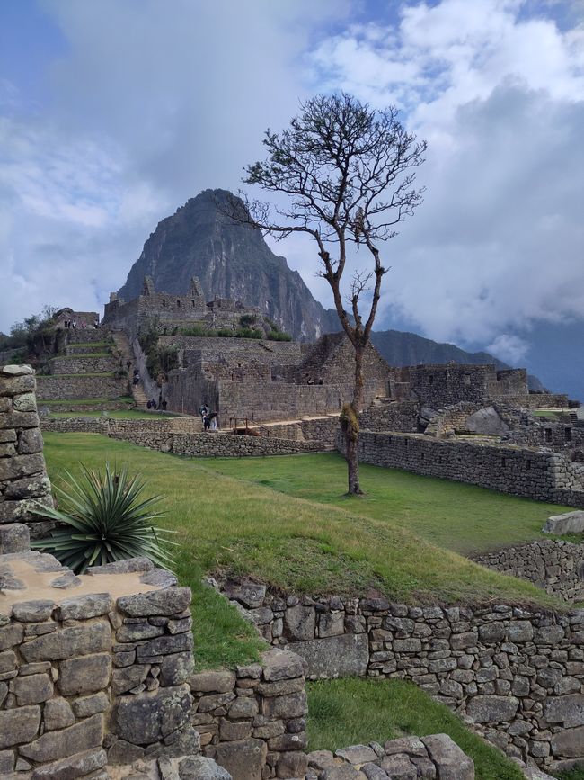 Cusco, Lares-Trek und Machu Picchu