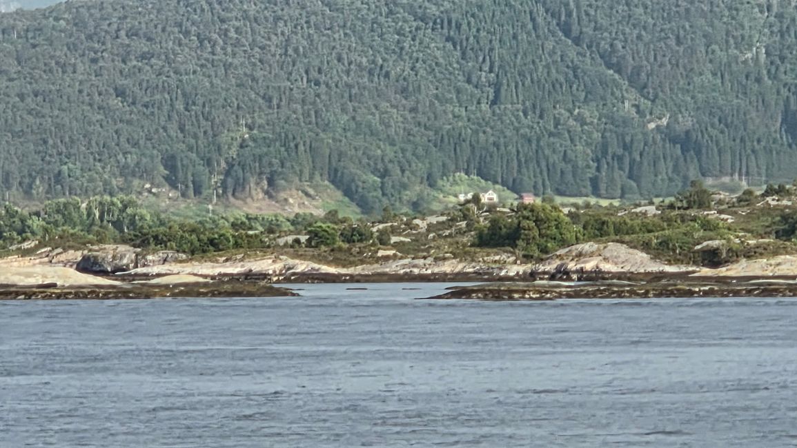 Fahrt mit dem Schnellboot von Flam - Bergen