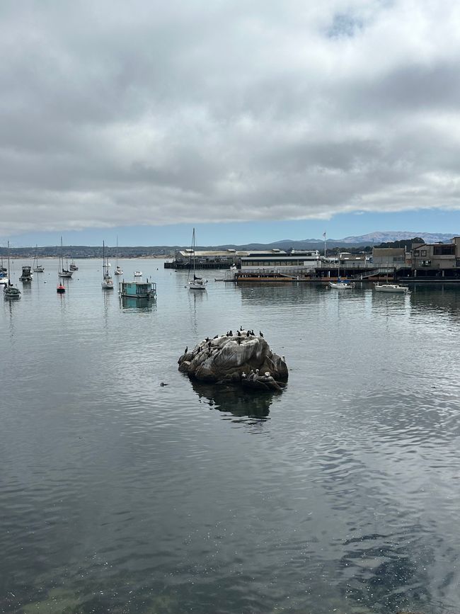 Sigue adelante por la costa Santa Cruz/Monterey/Big Sur/Morro Bay/Santa Bárbara/Malibú