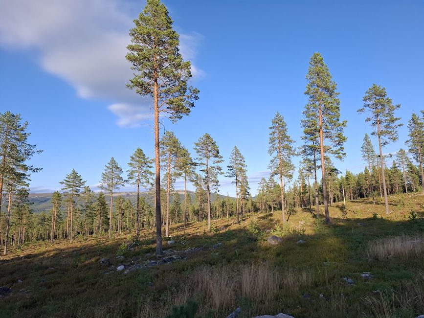 Oslo - Ljördalen