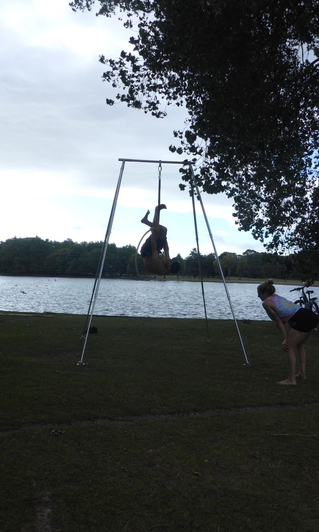 Acrobates