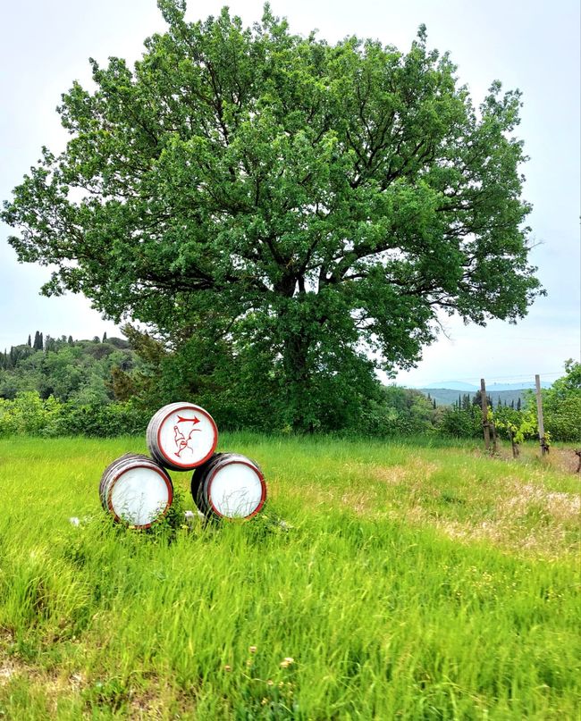 Tour de Toscana 2026