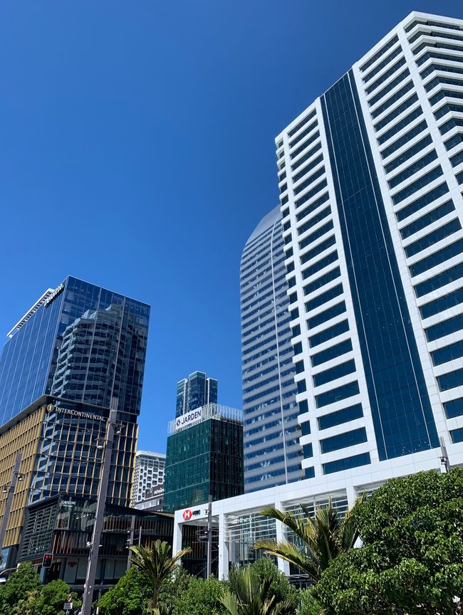 30_AUCKLAND UND ABREISE